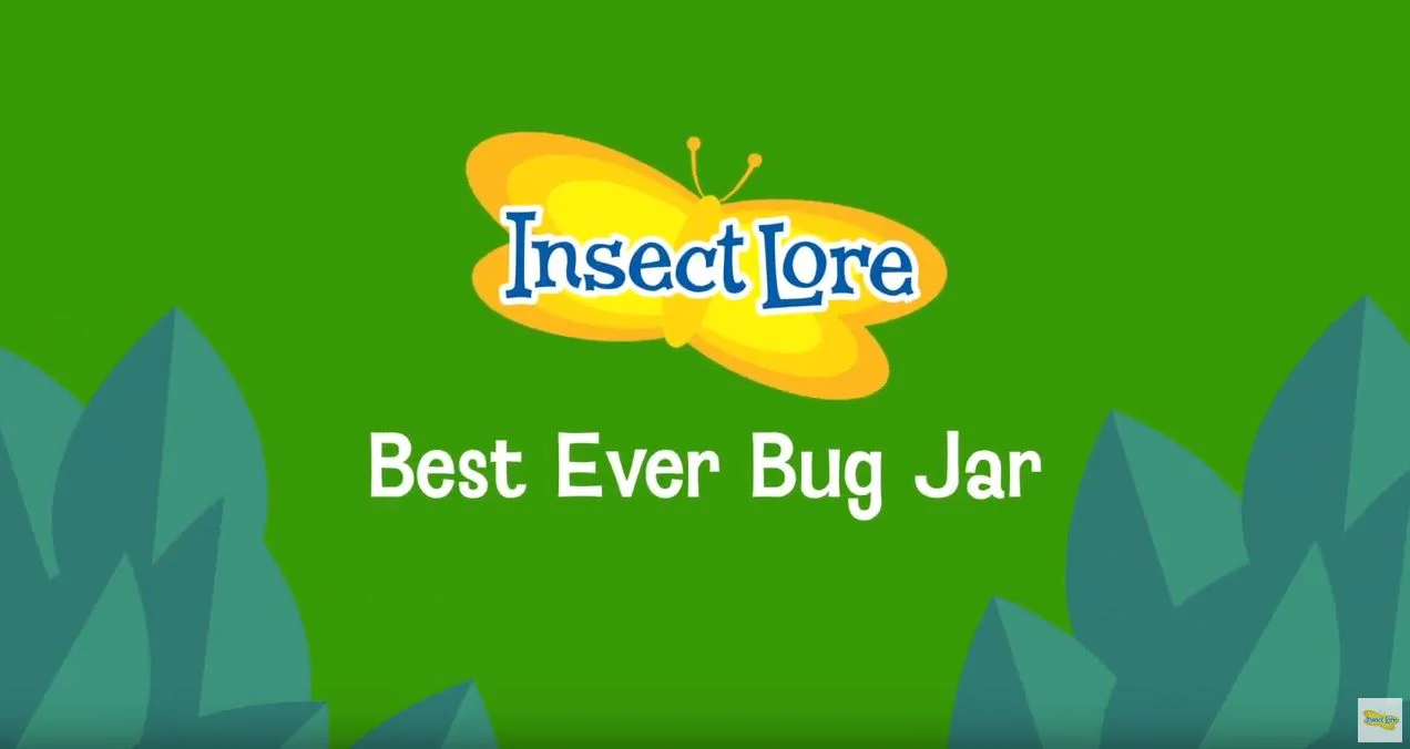 Best Ever Bug Jar - Image 3