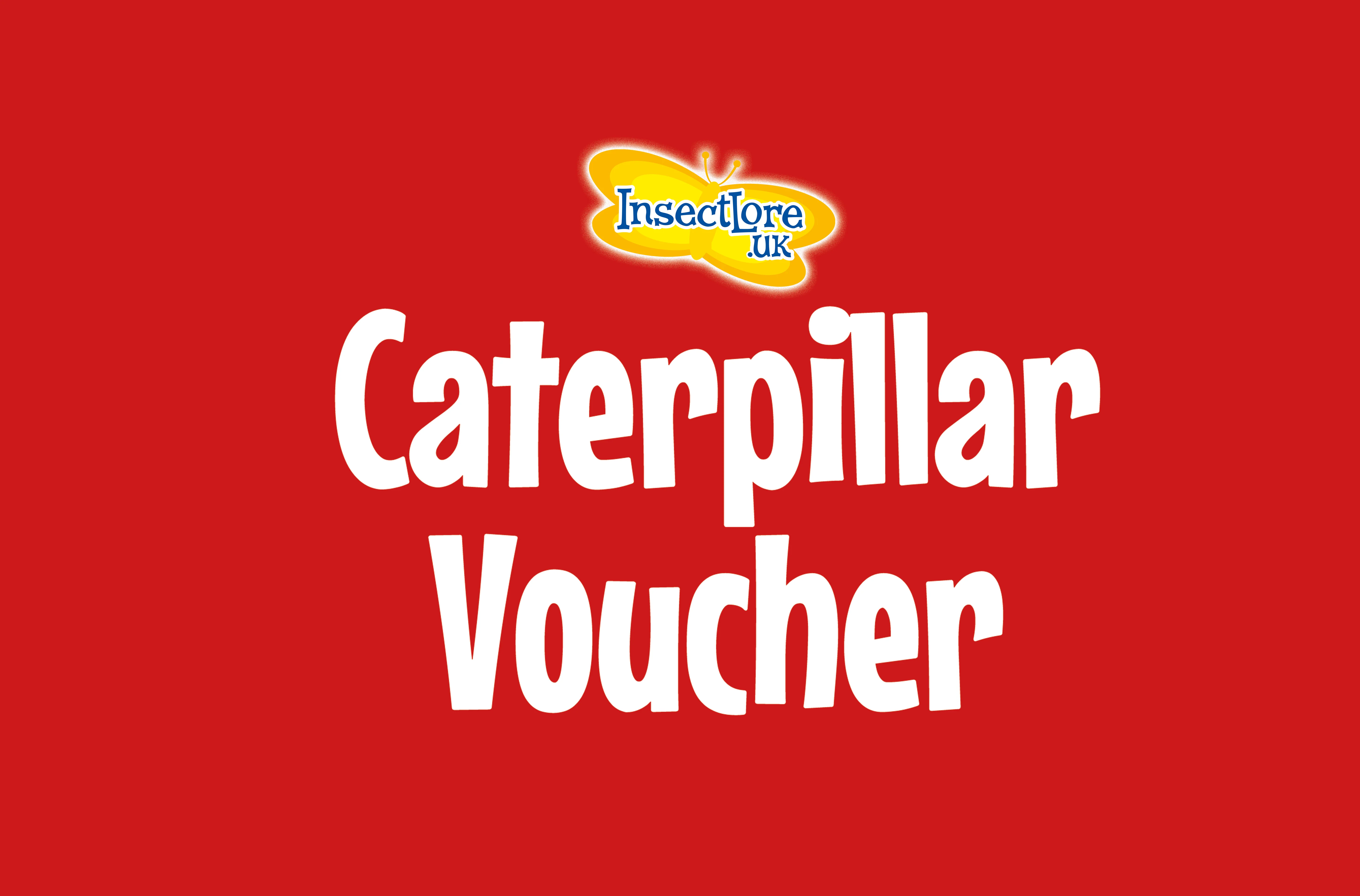 Refill Caterpillars for SCHOOL KIT (33 Caterpillars) - Image 4