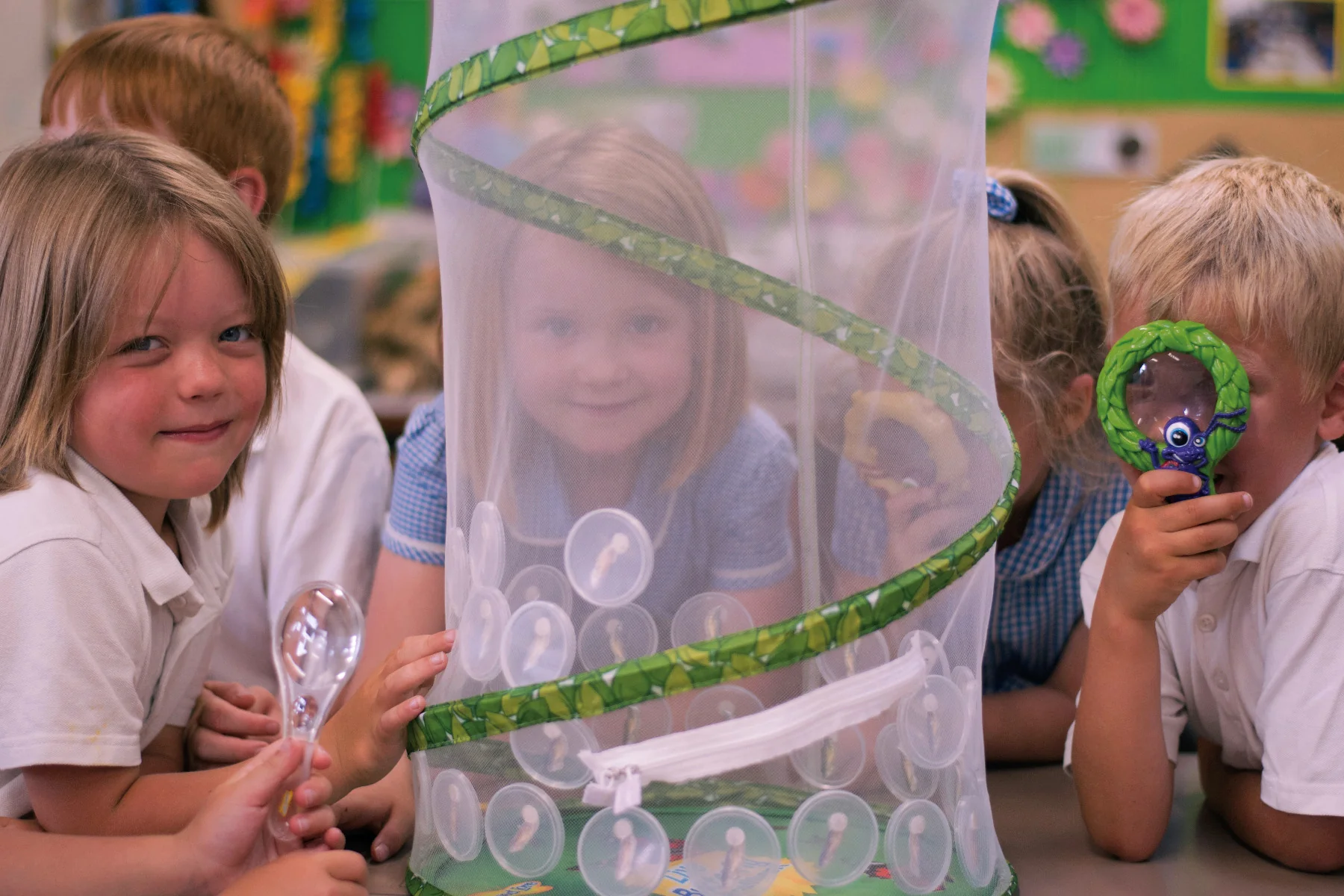 Refill Caterpillars for SCHOOL KIT (33 Caterpillars) - Image 3